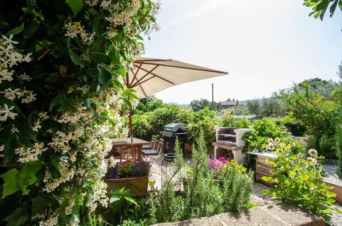 Casaletto Del Pellegrino in Viterbo, Italy