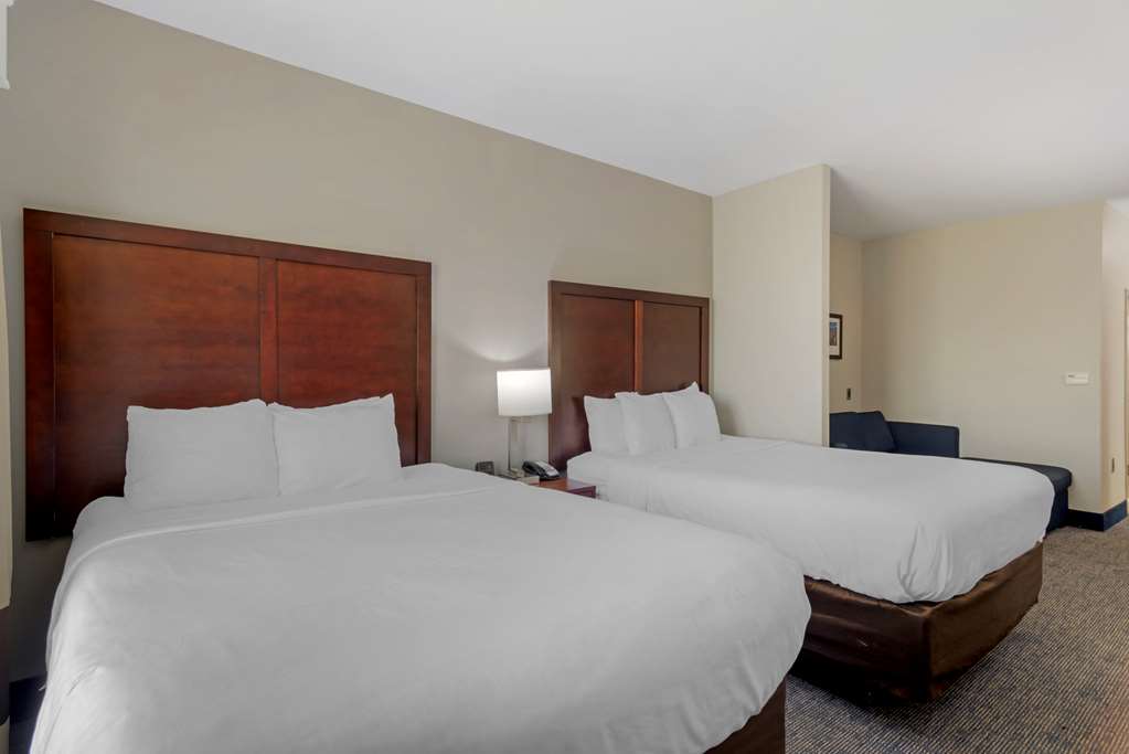 Comfort Suites Stockbridge Atlanta South - photo 14
