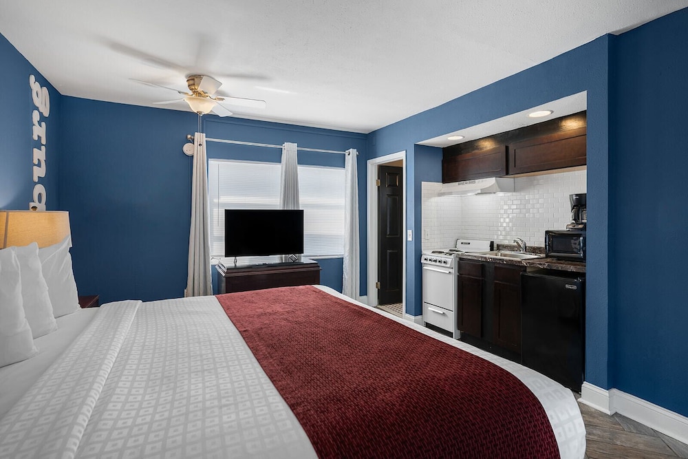 Avalon Hotel Downtown St. Petersburg - photo 20