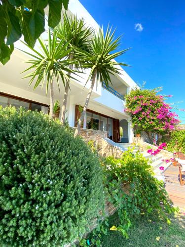 Beach house set in a beautiful bay — 4-Star Luxury Hotel in Karystos, Greece