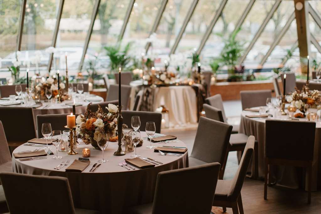 מזון ומשקאות