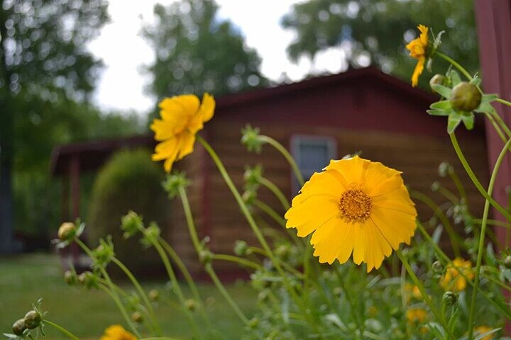 Smoky View Cottages & RV Resorts - photo 53