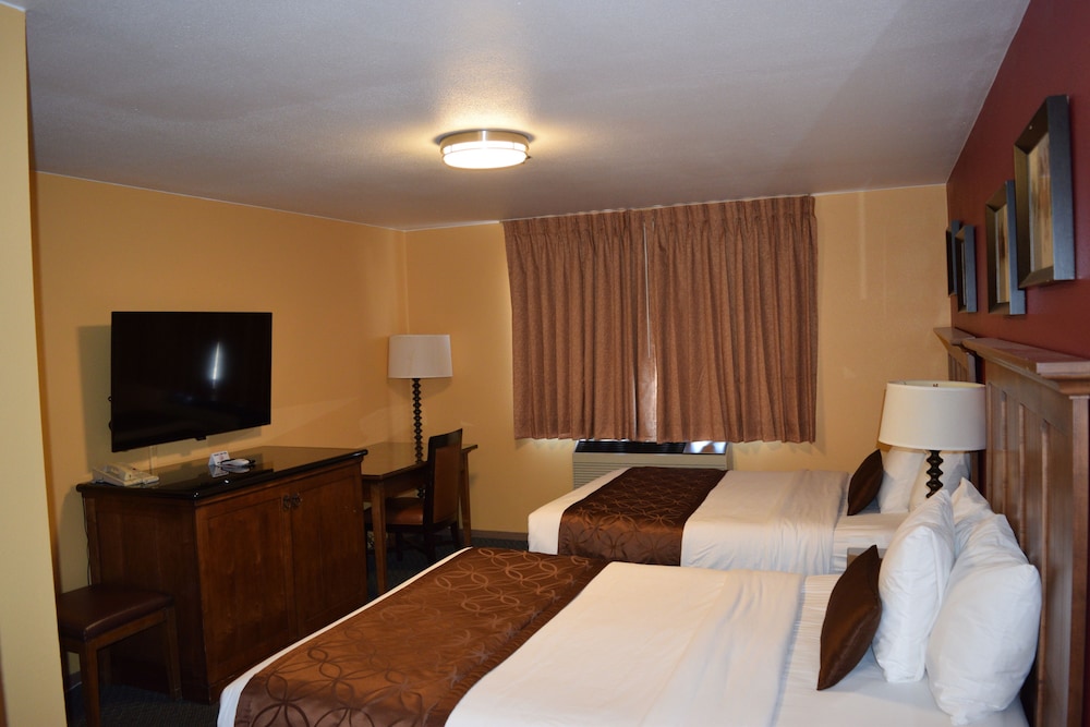 The Royal Victorian Motel - photo 9