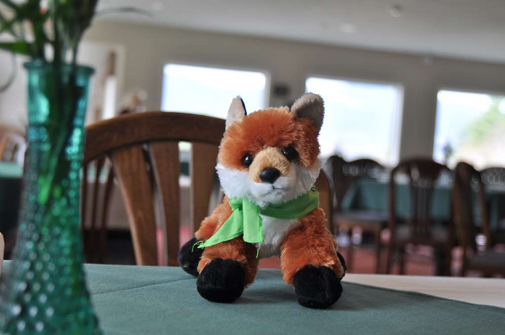 Fox Ridge Resort - photo 62