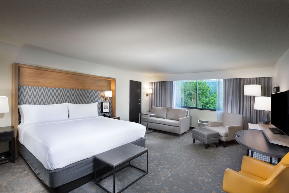 Holiday Inn Asheville East Blue Ridge PKWY by IHG - photo 11