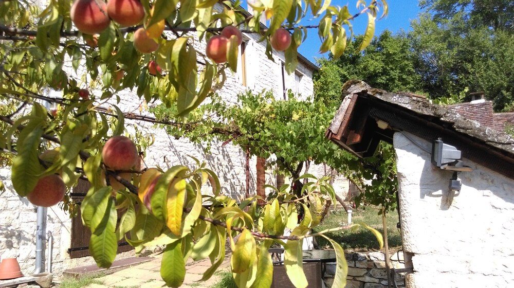 Chez Lavergne Table D'Hotes — hotel in Floirac