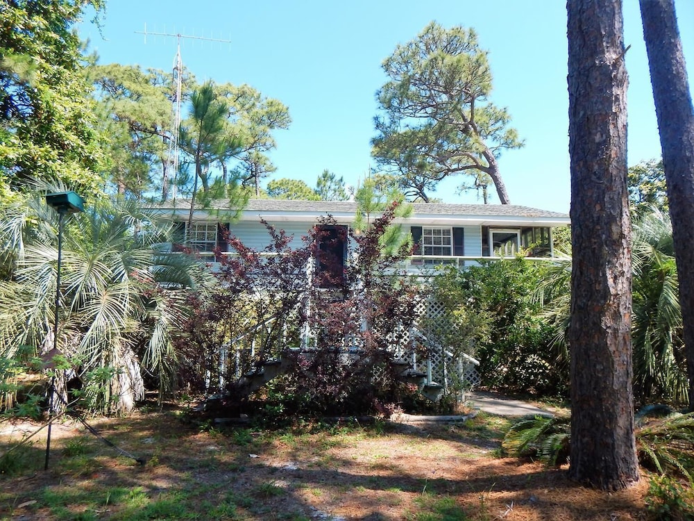 044 The Birds Nest in Dauphin Island, United States