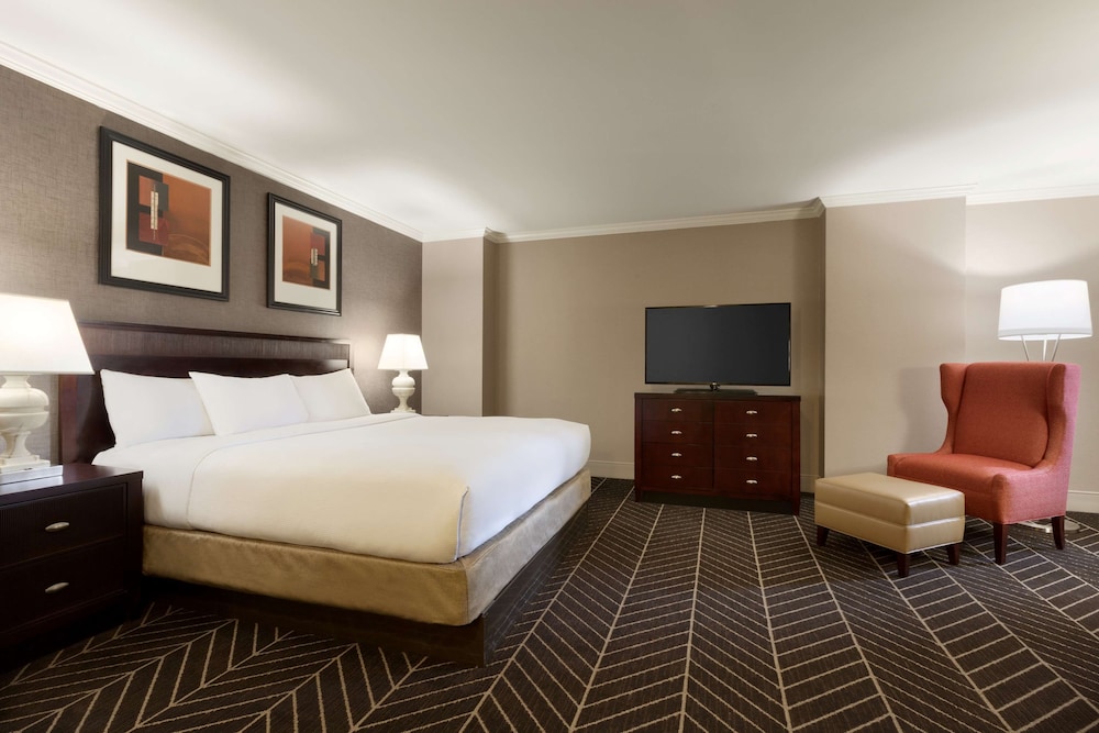 Hilton Arlington - photo 19