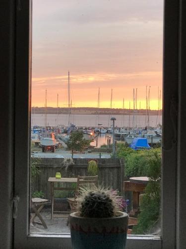 Huset I Grnnegade — Stubbekobing