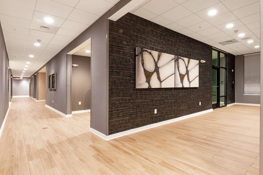 Hampton Inn & Suites Columbia Killian Road - photo 5