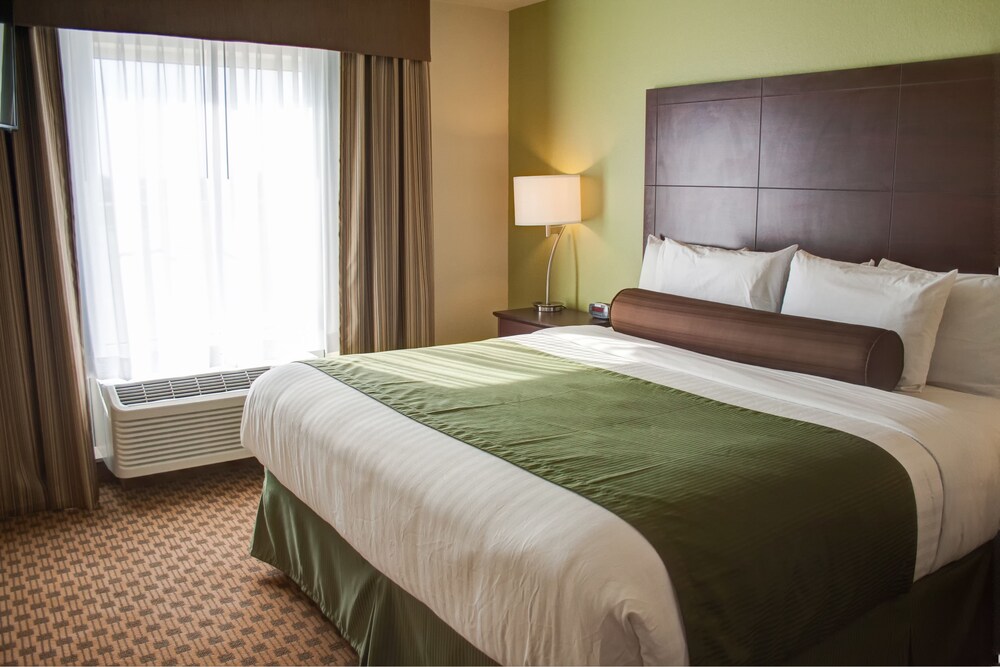 Cobblestone Hotel & Suites Jefferson - photo 11
