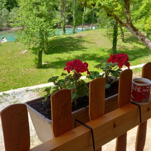 Rafting Kamp Hedera in Foca, Bosnia and Herzegovina