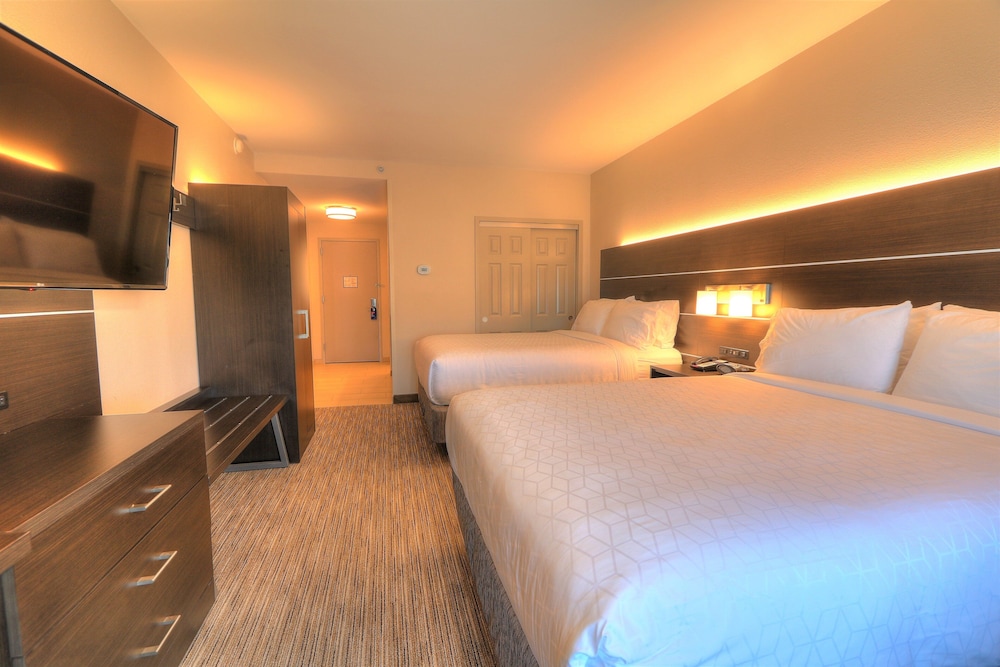 Holiday Inn Express Hotel & Suites Mobile Saraland by IHG - photo 33