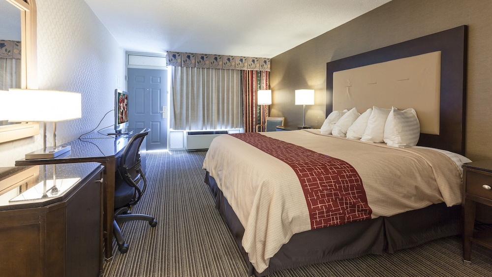 Red Roof Inn & Suites DeKalb - photo 13