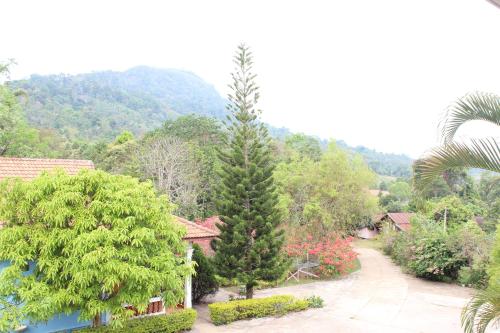 Beyond Pub Guest House & Hotel — Ban Thateng — photo 3