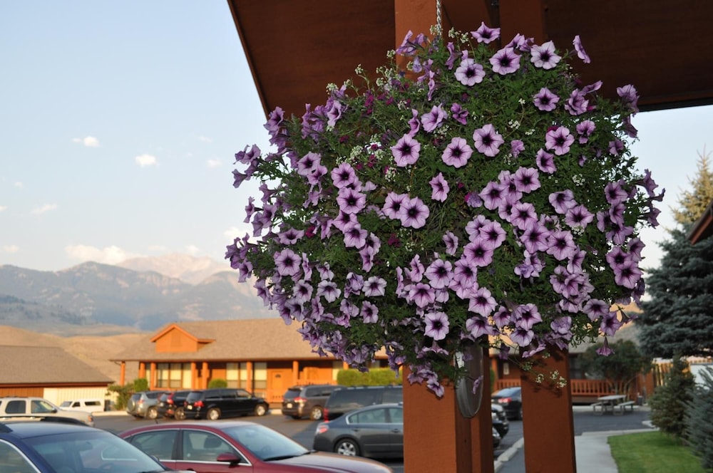 Yellowstone Village Inn and Suites - photo 30