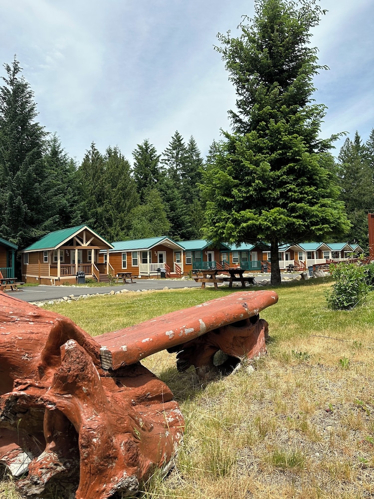 Packwood Lodge - photo 62