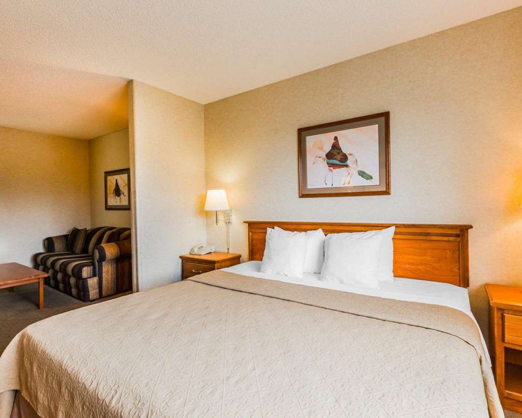 Quality Inn & Suites Montrose Black Canyon Area - photo 17