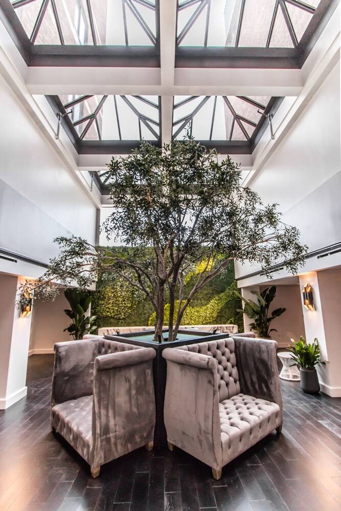 The Mayfair - photo 87