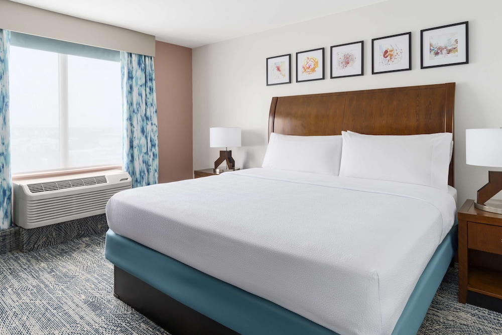 Hilton Garden Inn Orlando at SeaWorld - photo 9