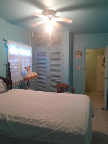 Aunt Lils Cottages in Falmouth, Jamaica