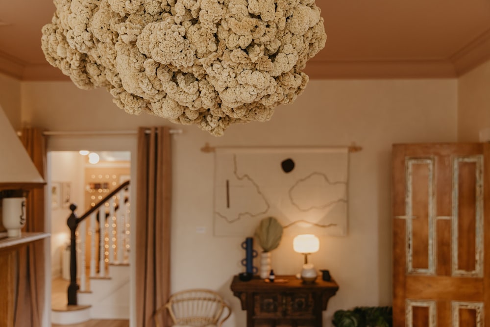 Dreamers By Dw - photo 3