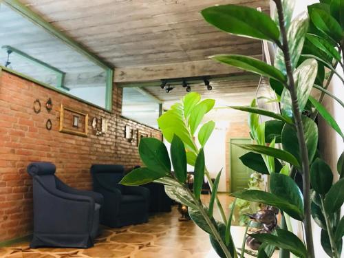 T2&T3 Apartments Levanto
