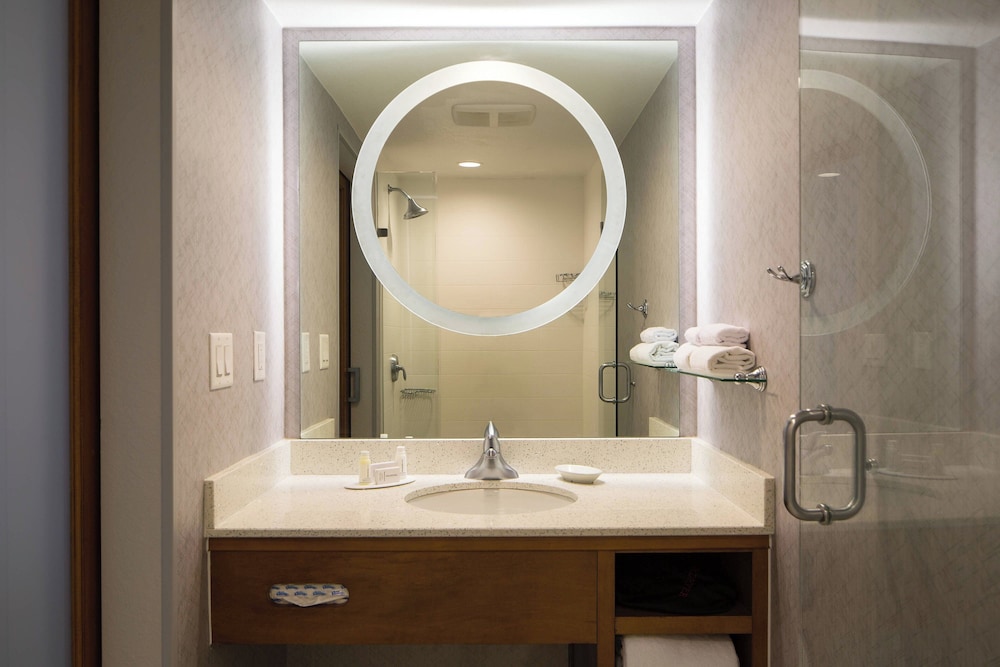 SpringHill Suites by Marriott Miami Downtown Medical Center - photo 11