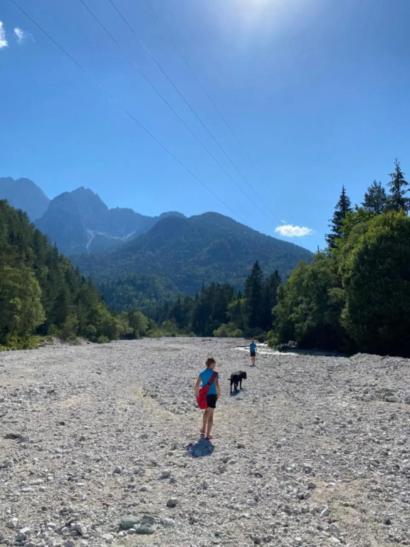 Sobe v Gozdu — Kranjska Gora — photo 2