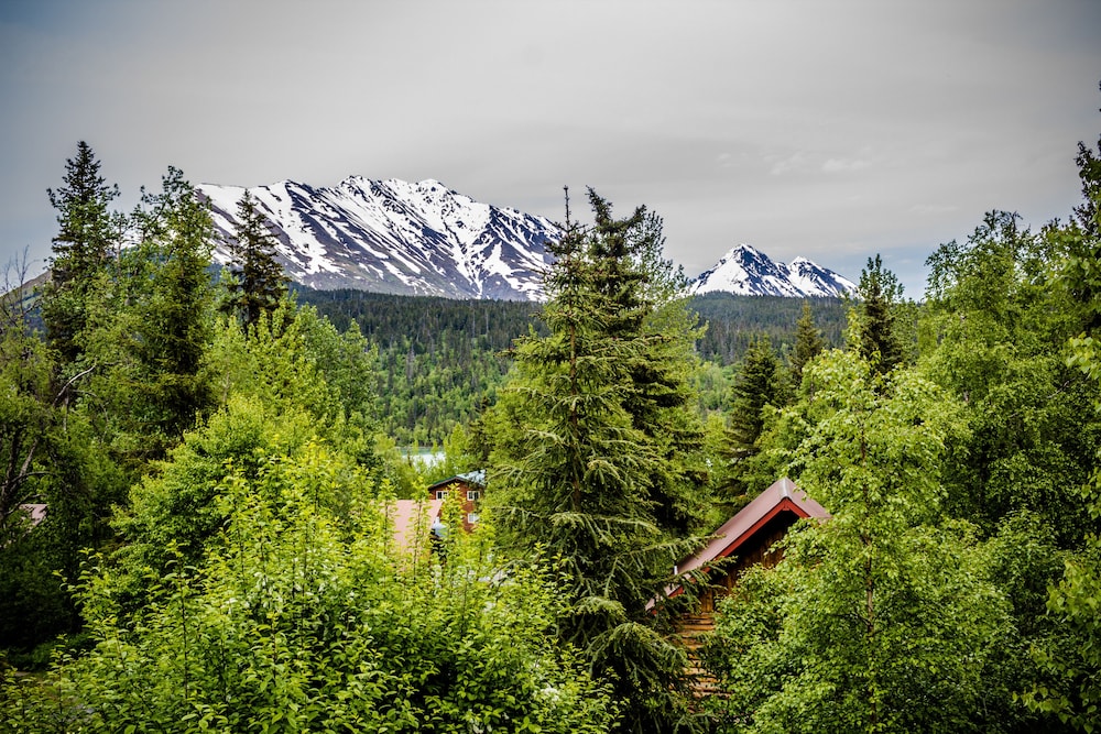 Midnight Sun Log Cabins - photo 70