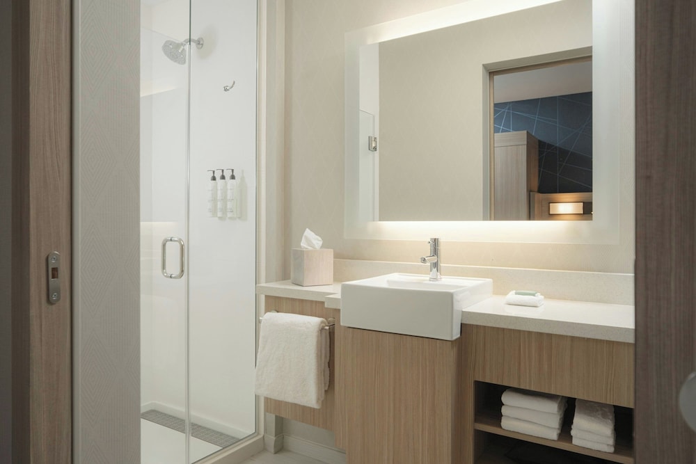 SpringHill Suites by Marriott Tampa Downtown - photo 23