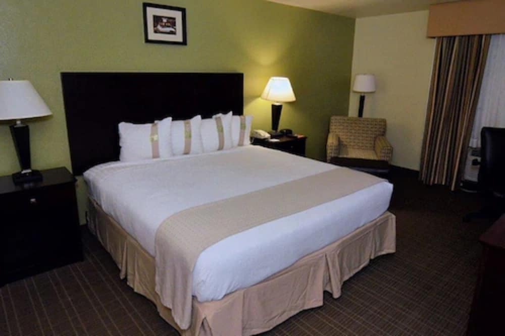Holiday Inn Fort Myers Downtown Area by IHG - photo 12