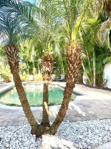 Tropical Oasis 10th in Bradenton, United States