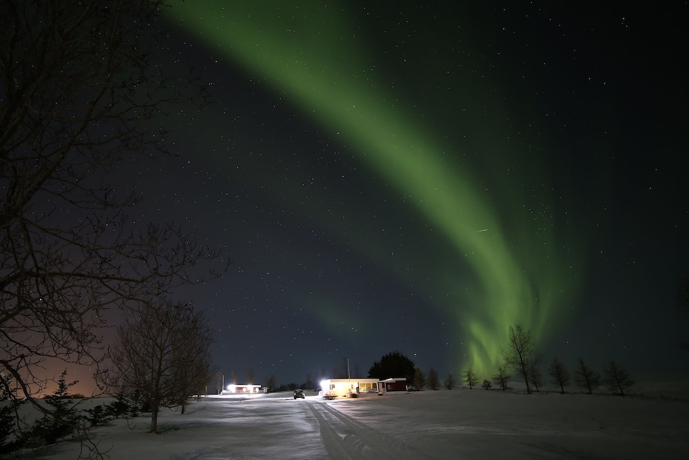 Höfði Cottages in Dalvik, Iceland