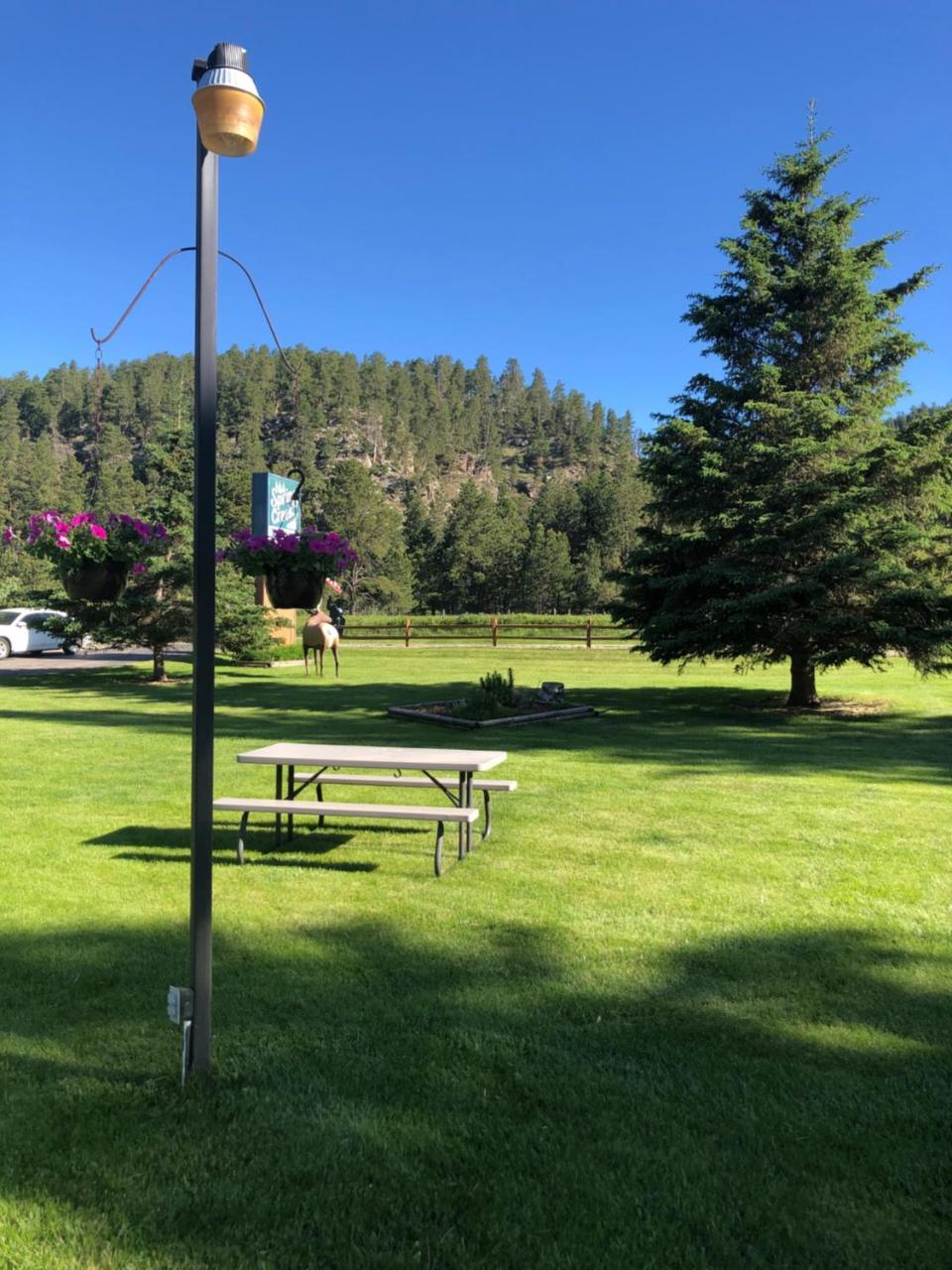 Springcreek Inn - photo 7