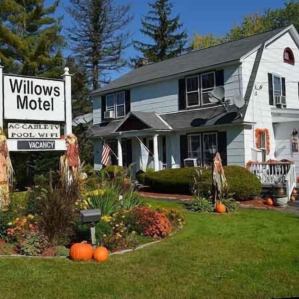 Willows Motel Williamstown - photo 41