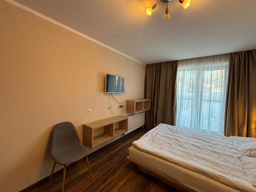 Bakuriani Orbi Palace Luxe Suite with Terrace and Breathtaking Views 462