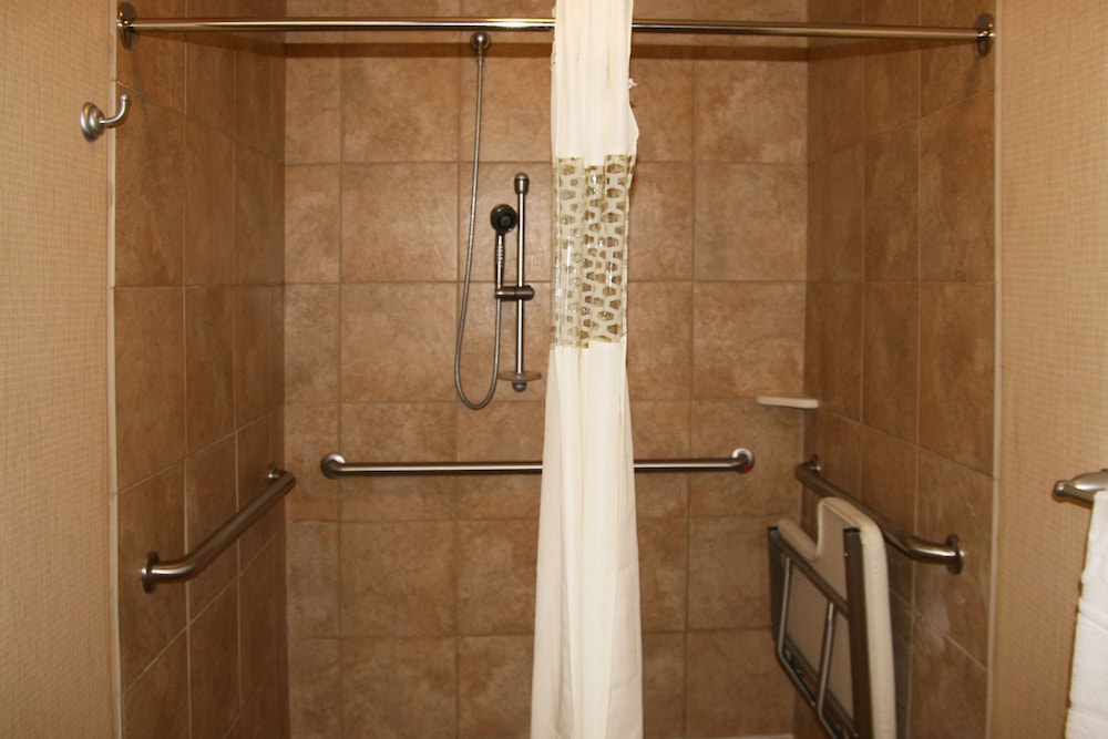 Hampton Inn Alpine - photo 10