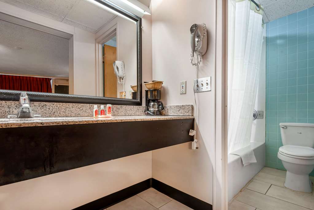 Econo Lodge Cortland Downtown - photo 16