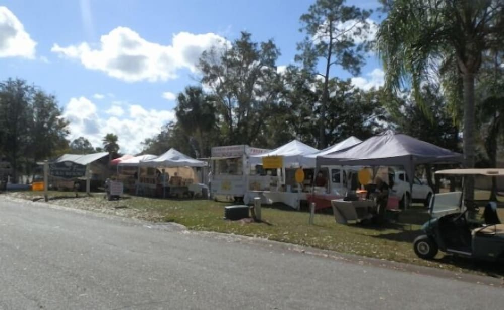 Sherwood Forest RV Resort - photo 27