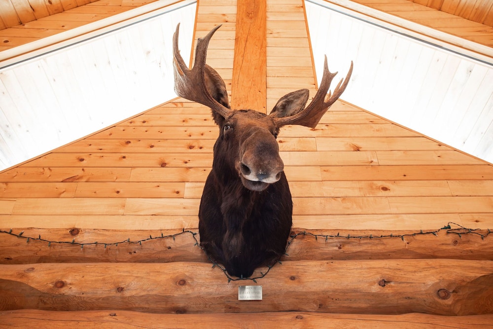Lochsa Lodge Resort - photo 8