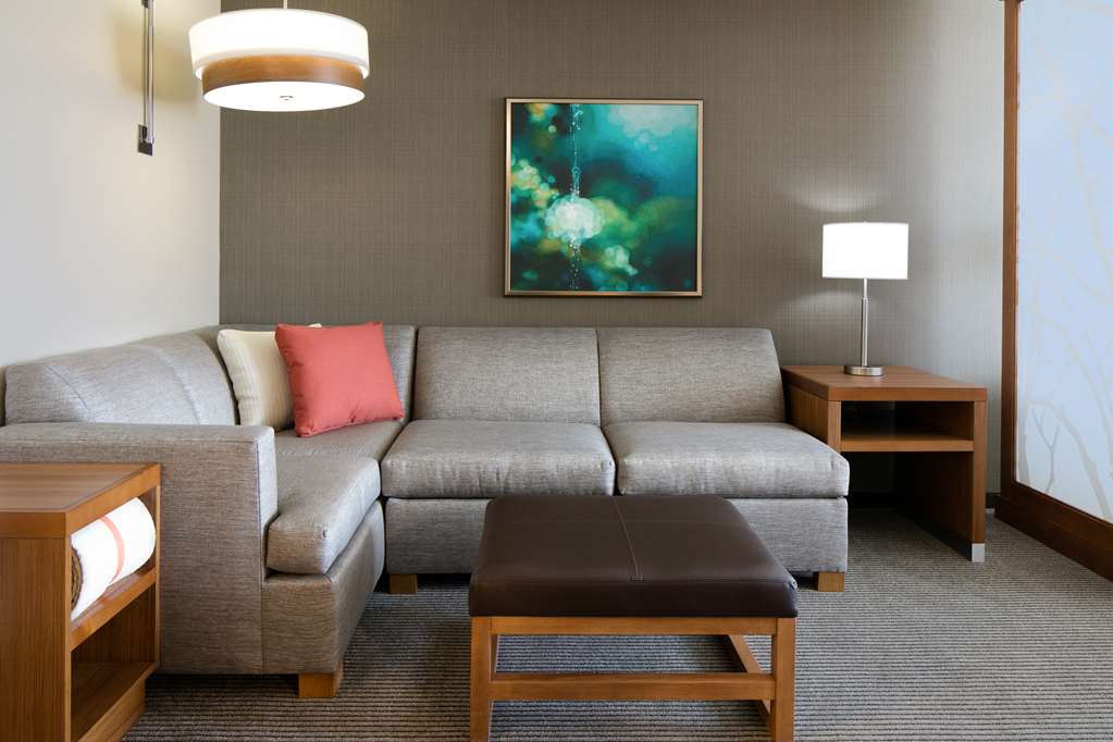 Hyatt Place Kansas City Lenexa City Center - photo 21