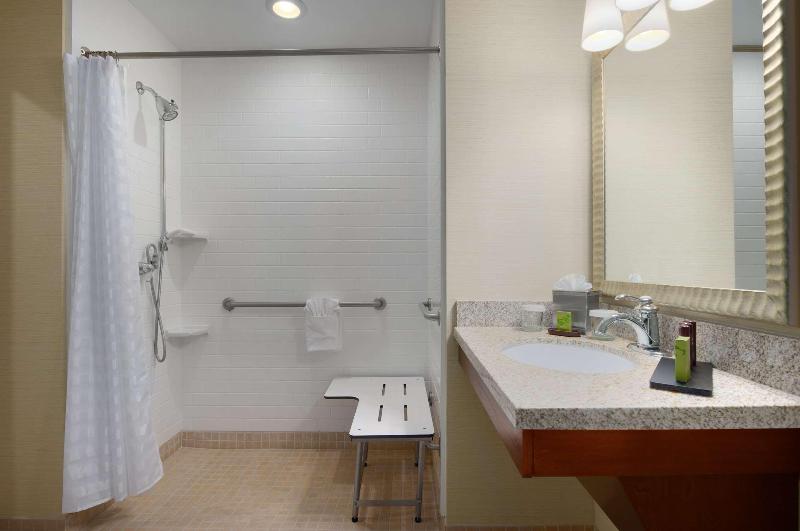 Embassy Suites by Hilton Tampa Brandon - photo 88