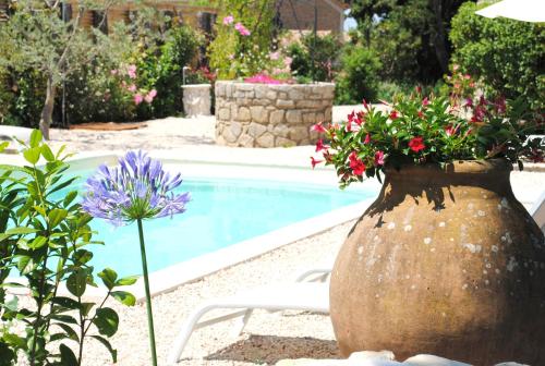 Terre de Bacchus — hotel in Vacqueyras