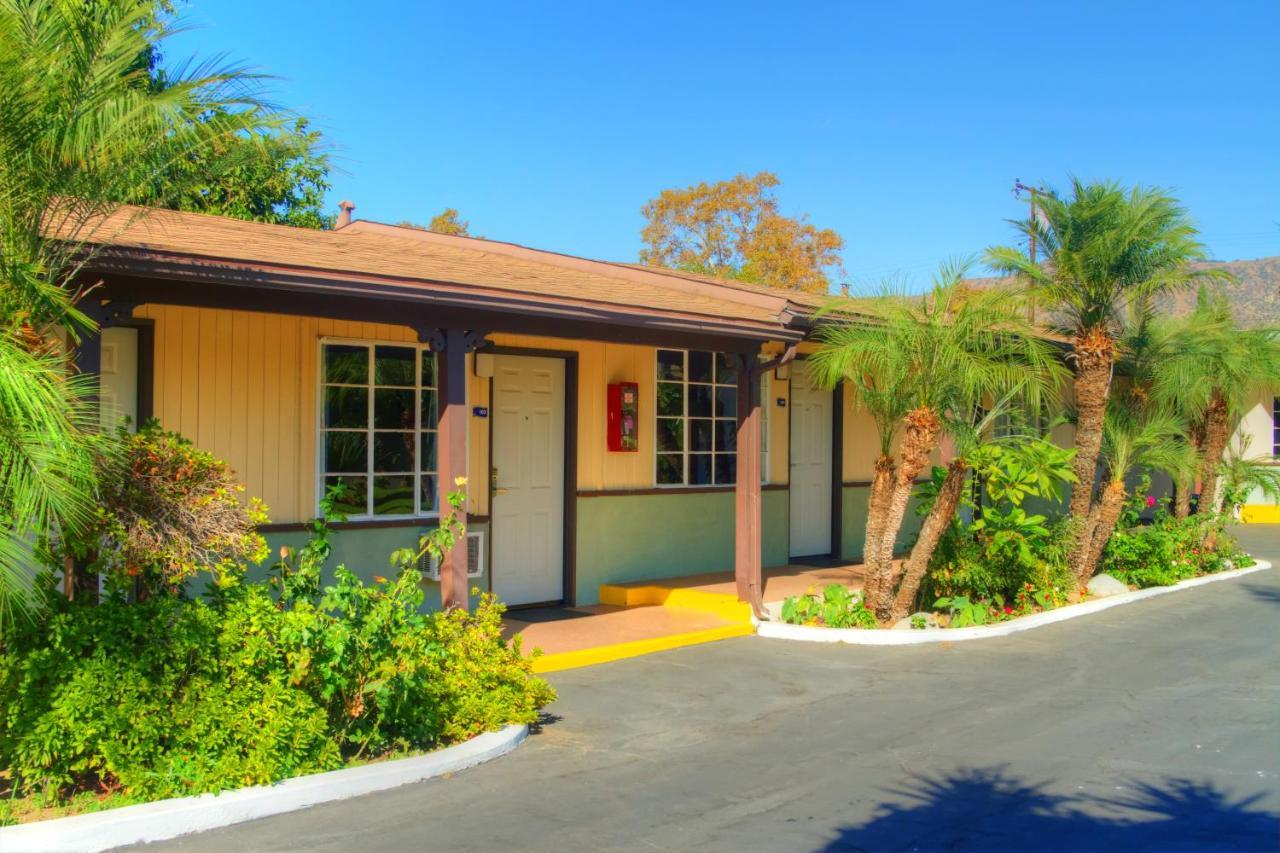Palm Tropics Motel - photo 11
