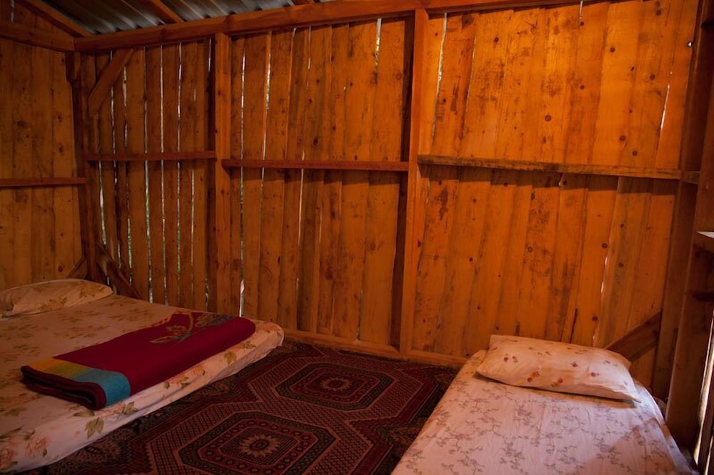 Bayrams Tree Houses — Kumluca — photo 3