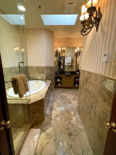 Celebrity Hotel and Casino - photo 21