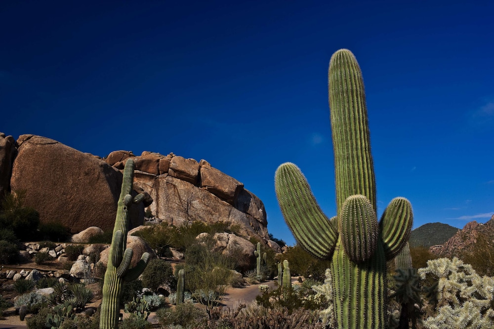 Boulders Resort & Spa Scottsdale Curio Collection by Hilton - photo 140