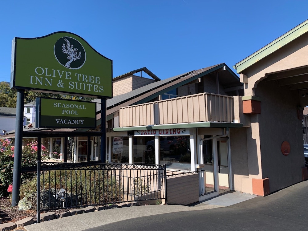 Olive Tree Inn & Suites by Howard Johnson WYNDHAM - photo 37