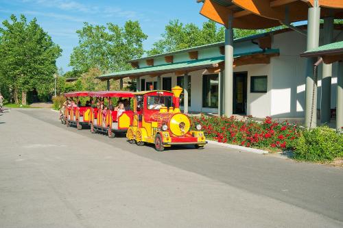 Happy Camp Rosapineta Camping Village